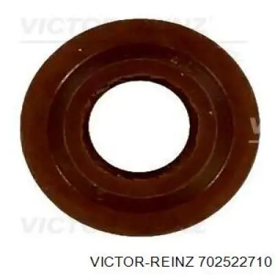 702522710 Victor Reinz сальник клапана (маслознімний, впускного)
