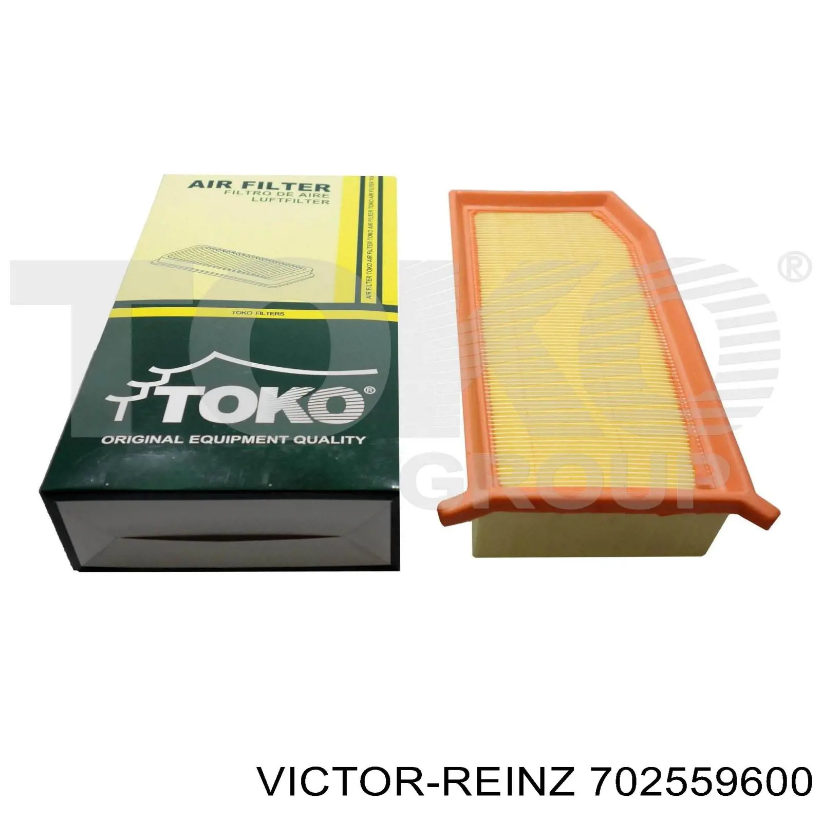 702559600 Victor Reinz Прокладка штанів