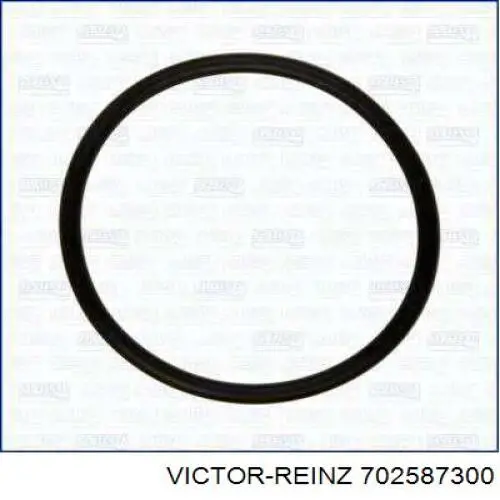 702587300 Victor Reinz Прокладка паливного насосу ПНВТ