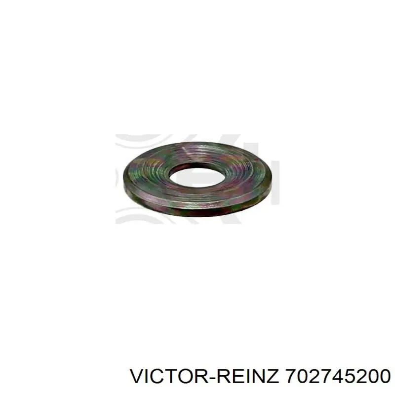 Купити 702745200 Victor Reinz Кільце форсунки