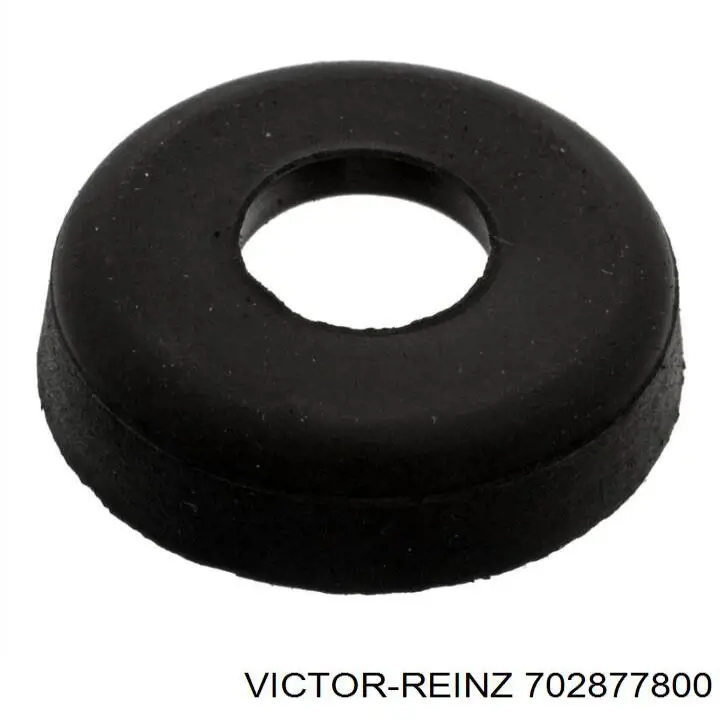 702877800 Victor Reinz ущільнююче кільце
