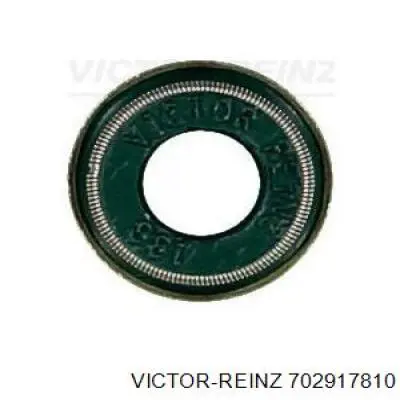 Прокладка піддону картера двигуна 702917810 Victor Reinz