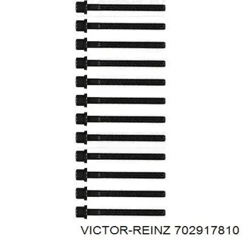 702917810 Victor Reinz Прокладка піддону картера двигуна