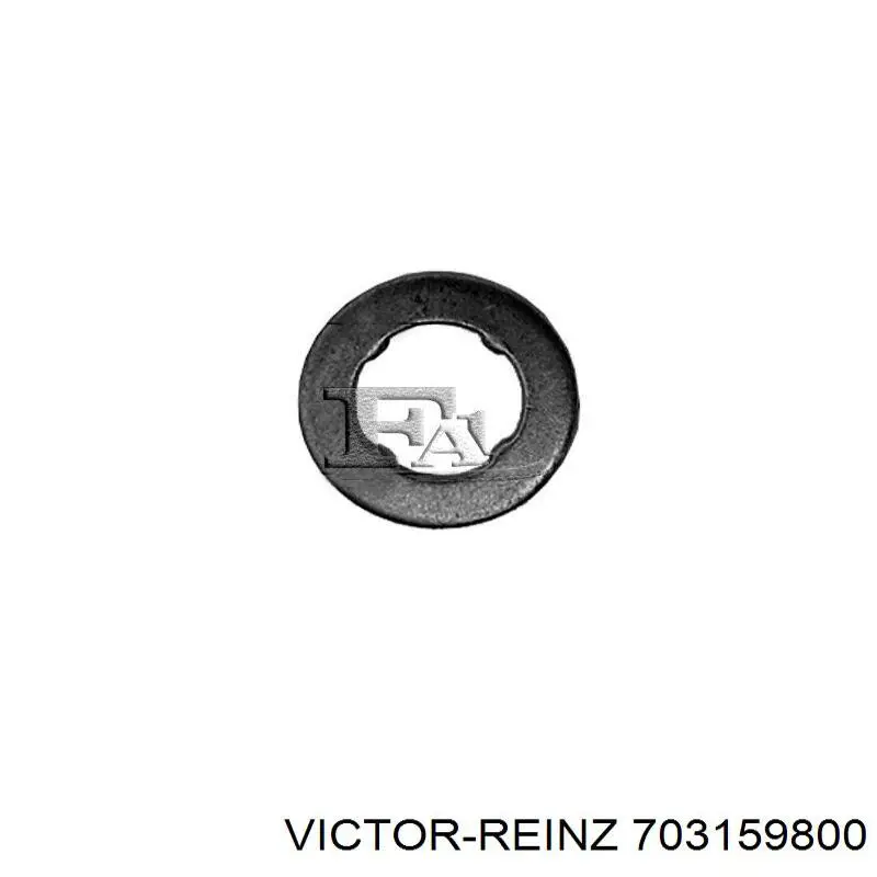 Купити 703159800 Victor Reinz Кільце форсунки