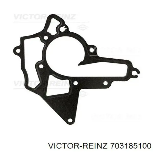 Прокладка водяної помпи 703185100 Victor Reinz