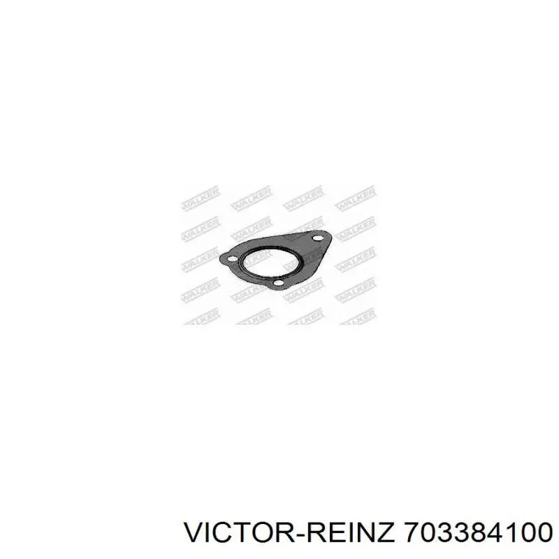 703384100 Victor Reinz Прокладка штанів