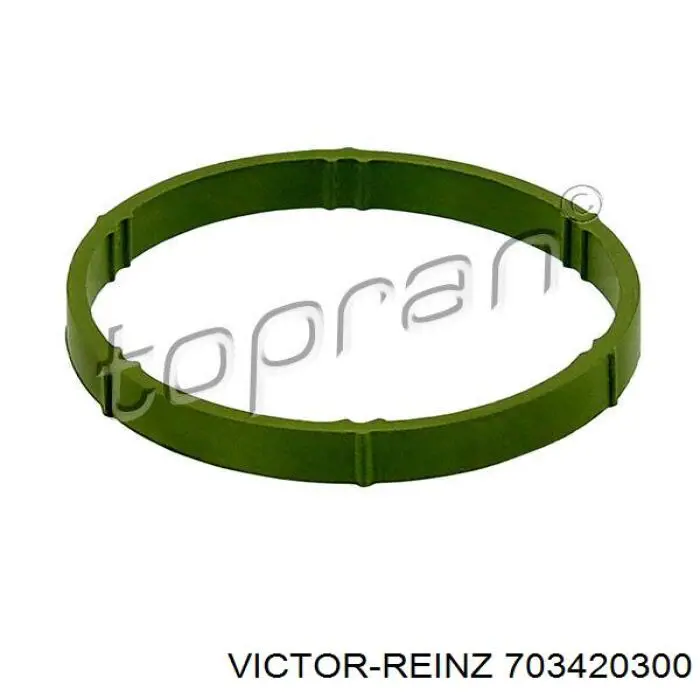 Прокладка впускного колектора 703420300 Victor Reinz