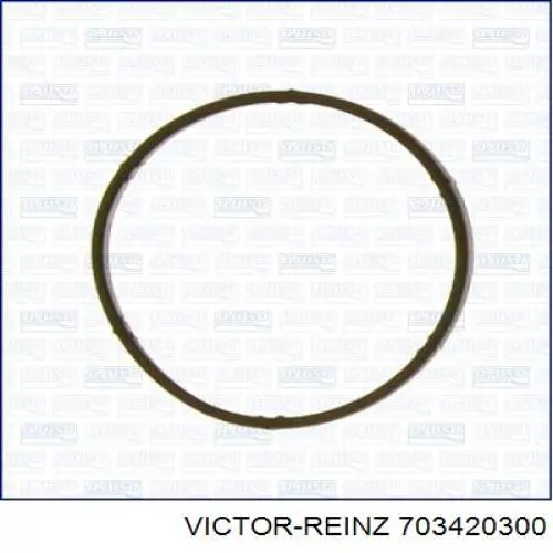 703420300 Victor Reinz Прокладка впускного колектора