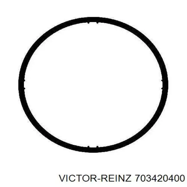 Прокладка впускного колектора 703420400 Victor Reinz