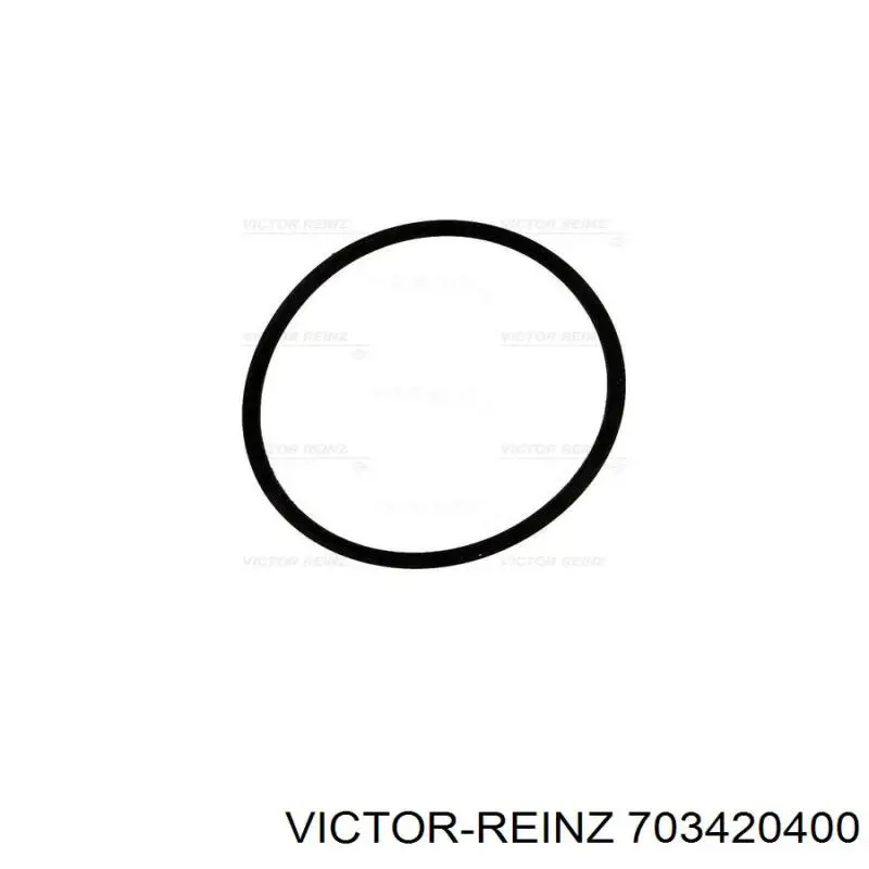 703420400 Victor Reinz Прокладка впускного колектора