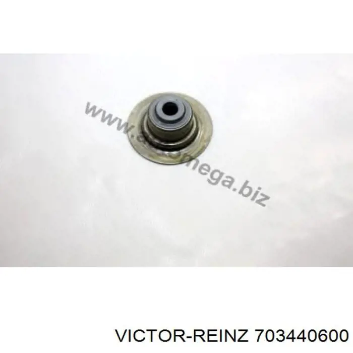 Купити 703440600 Victor Reinz Сальник клапана