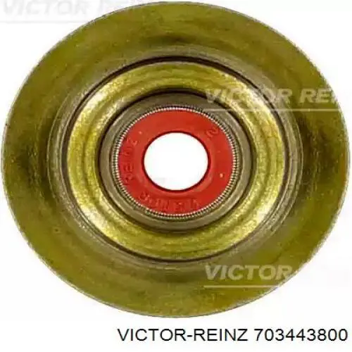 Купити 703443800 Victor Reinz Сальник клапана