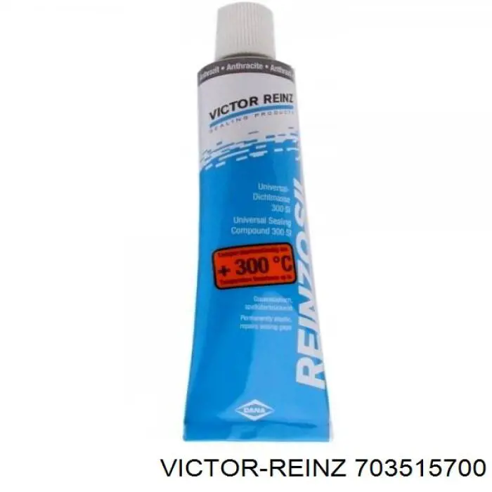 Купити 703515700 Victor Reinz 