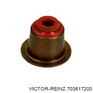 Сальник клапана (маслознімний), впуск/випуск Victor Reinz 703517200 ціна, від 1.26 USD