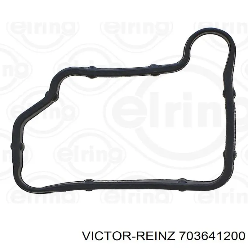 703641200 Victor Reinz Кільце ущільнювальне свічкового колодязя