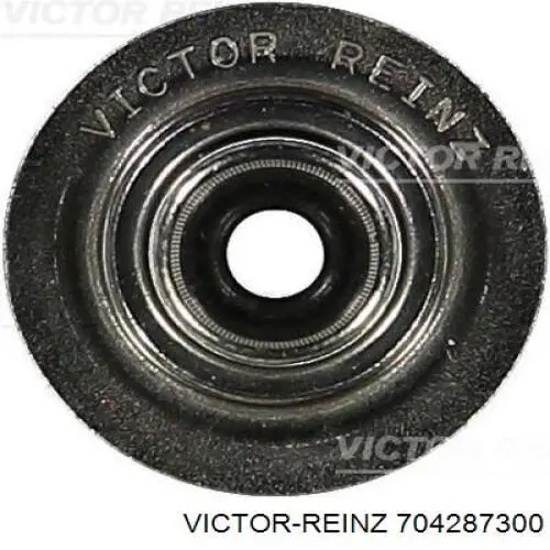 704287300 Victor Reinz 