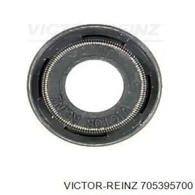 705395700 Victor Reinz сальник клапана (маслознімний, впуск/випуск)