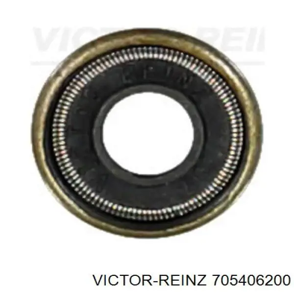 705406200 Victor Reinz сальник клапана (маслознімний, випускного)