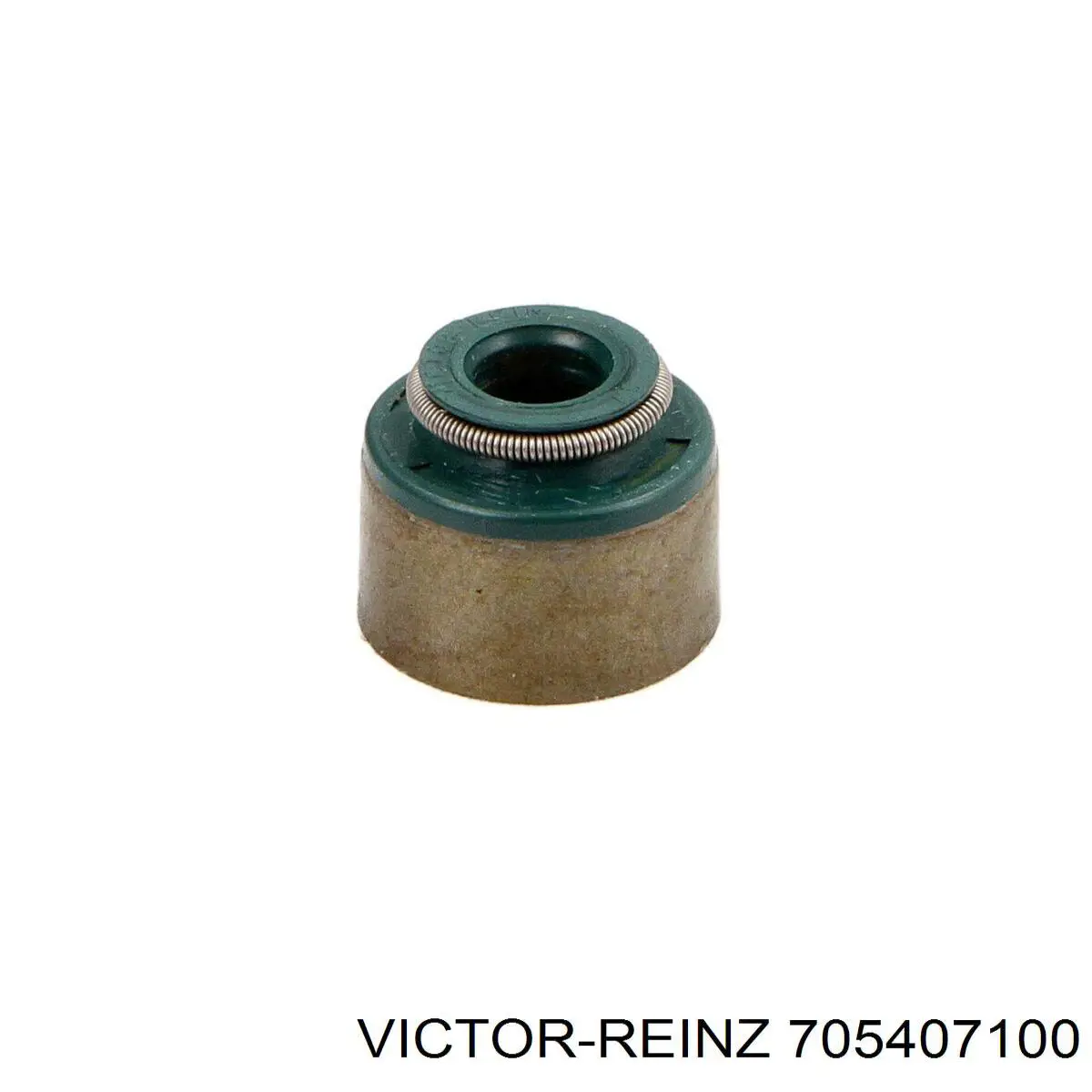 705407100 Victor Reinz сальник клапана (маслознімний, випускного)