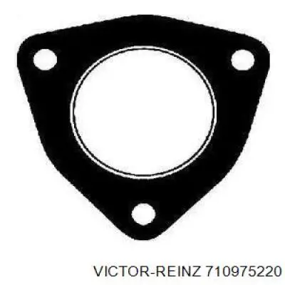 710975220 Victor Reinz Прокладка штанів