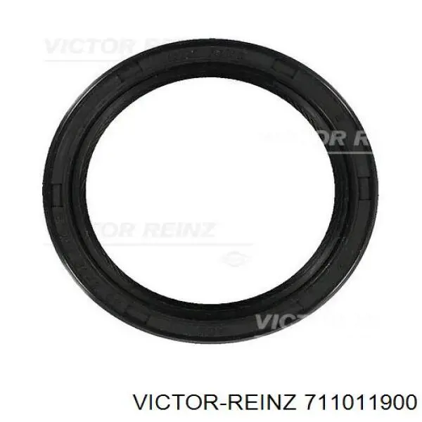 Прокладка клапанної кришки, права VC009495000 NIPPON MOTORS