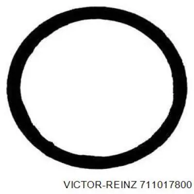 711017800 Victor Reinz Прокладка турбіни вихлопних газів, впуск