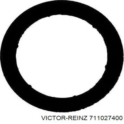 Купити 711027400 Victor Reinz 