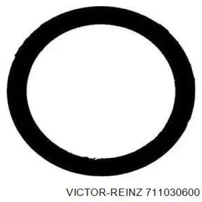 Купити 711030600 Victor Reinz Прокладка колектора