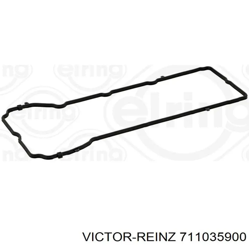 711035900 Victor Reinz прокладка клапанної кришки, ліва