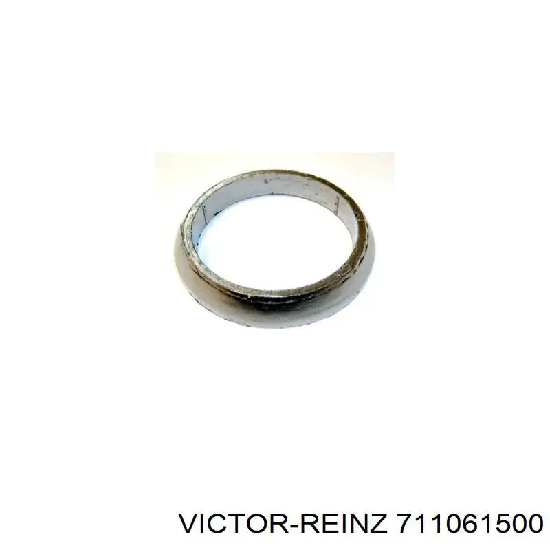 Купити 711061500 Victor Reinz Прокладка штанів