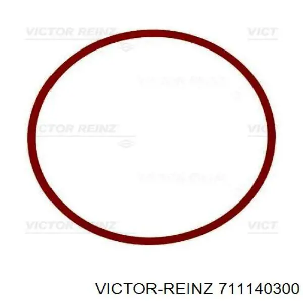 Прокладка впускного колектора Victor Reinz 711140300 ціна, від 5.31 USD