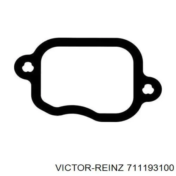 711193100 Victor Reinz Прокладка впускного колектора