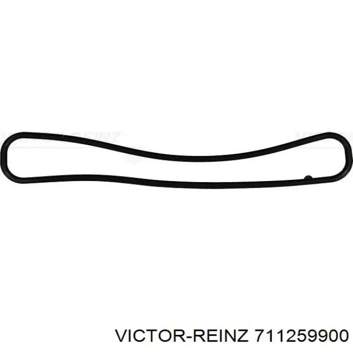 711259900 Victor Reinz Прокладка клапанної кришки двигуна, внутрішня