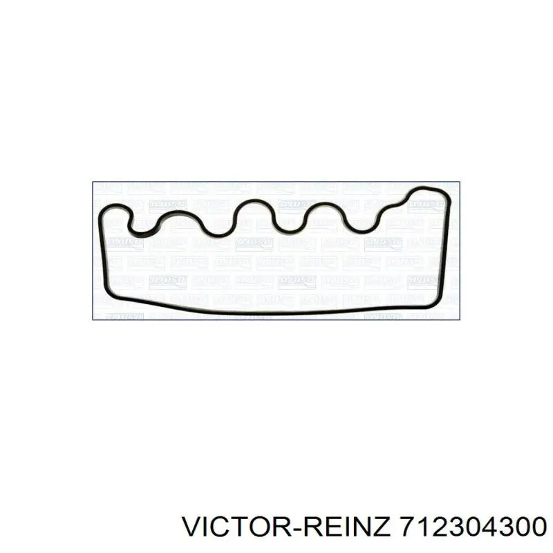 Купити 712304300 Victor Reinz Прокладка клапанної кришки