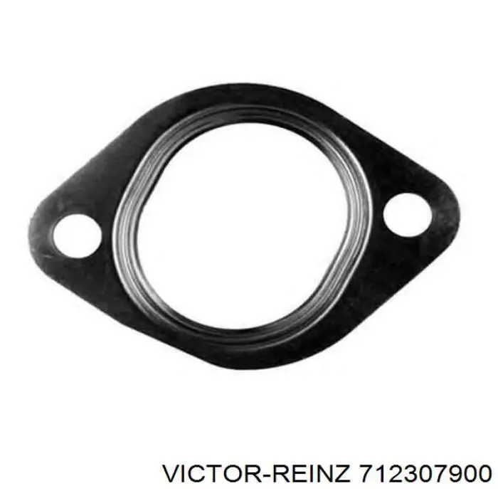 Прокладка колектора 702307900 Victor Reinz
