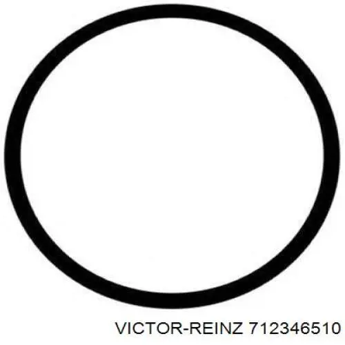 Прокладка прийомної труби глушника Victor Reinz 712346510 ціна, від 1.67 USD