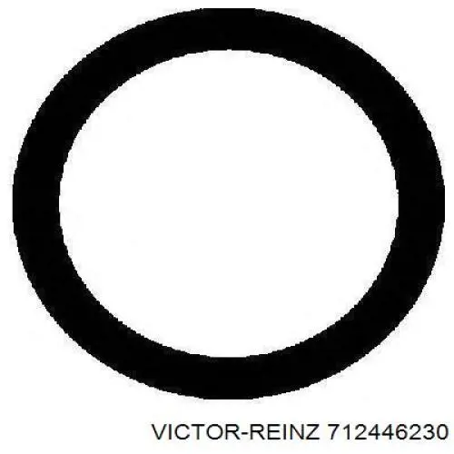 Купити Прокладка впускного колектора Renault 25  B29