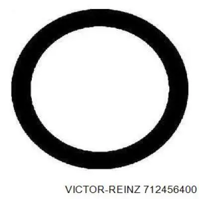 Прокладка впускного колектора Victor Reinz 712456400 ціна, від 0.44 USD