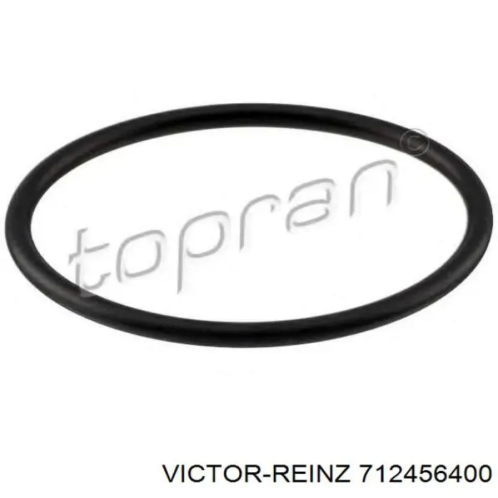 Купити 7910245244 Renault (RVI) Прокладка впускного колектора
