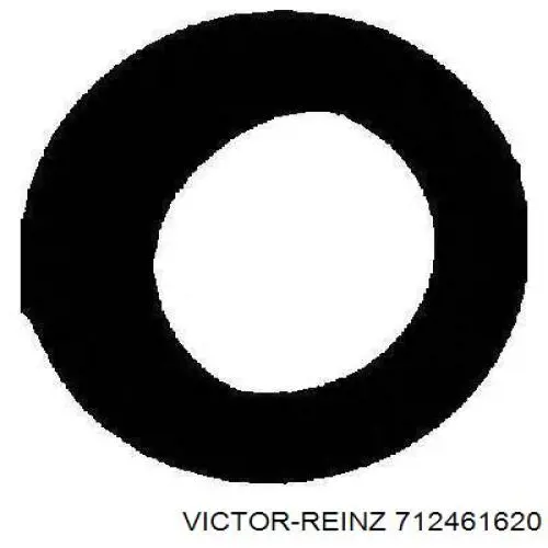 712461620 Victor Reinz прокладка впускного колектора