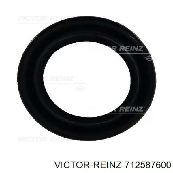 Прокладка впускного колектора Victor Reinz 712587600 ціна, від 0.90 USD