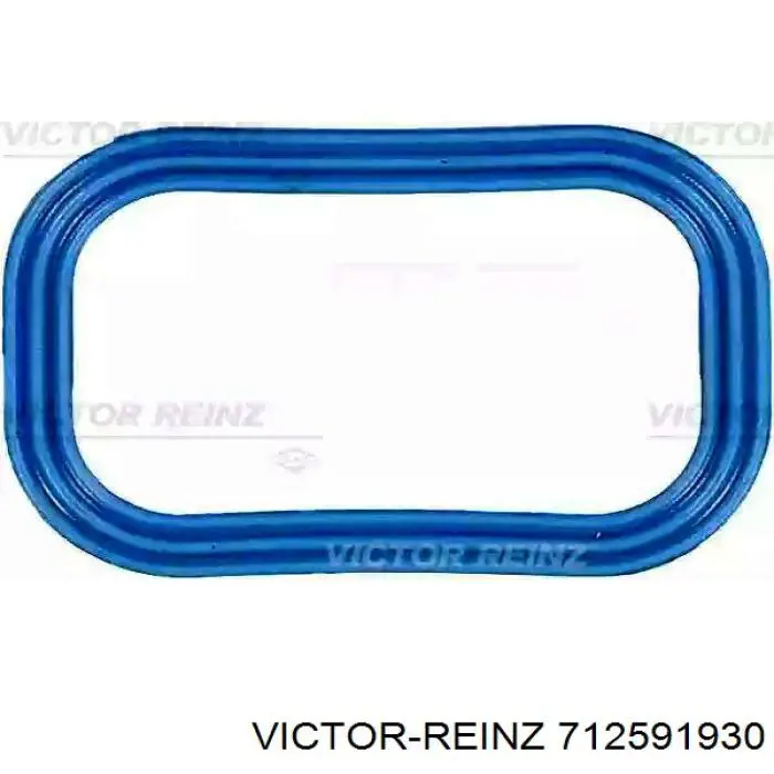 Купити 712591930 Victor Reinz Прокладка колектора