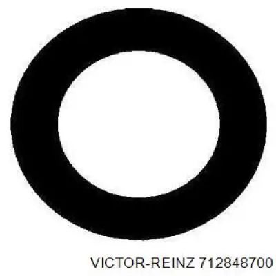 Кільце ущільнювальне свічкового колодязя Victor Reinz 712848700 ціна, від 1.63 USD
