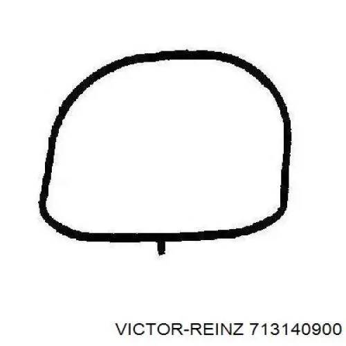 713140900 Victor Reinz прокладка впускного колектора, нижня