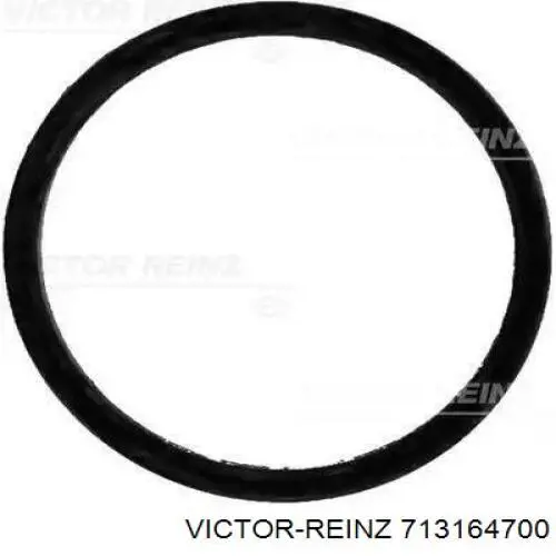 Прокладка впускного колектора Victor Reinz 713164700 ціна, від 0.47 USD