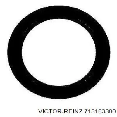 713183300 Victor Reinz прокладка прийомної труби глушника