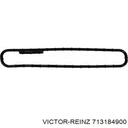713184900 Victor Reinz прокладка клапанної кришки двигуна, внутрішня