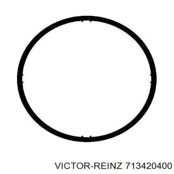 713420400 Victor Reinz прокладка впускного колектора