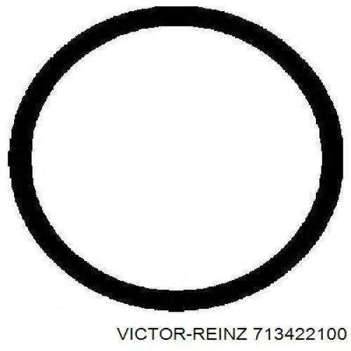 Прокладка впускного колектора Victor Reinz 713422100 ціна, від 2.55 USD