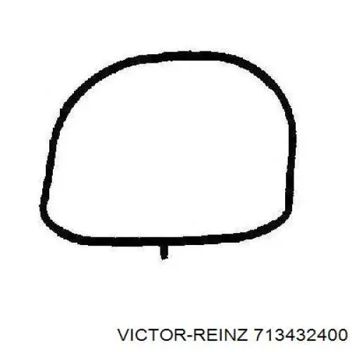 713432400 Victor Reinz прокладка впускного колектора